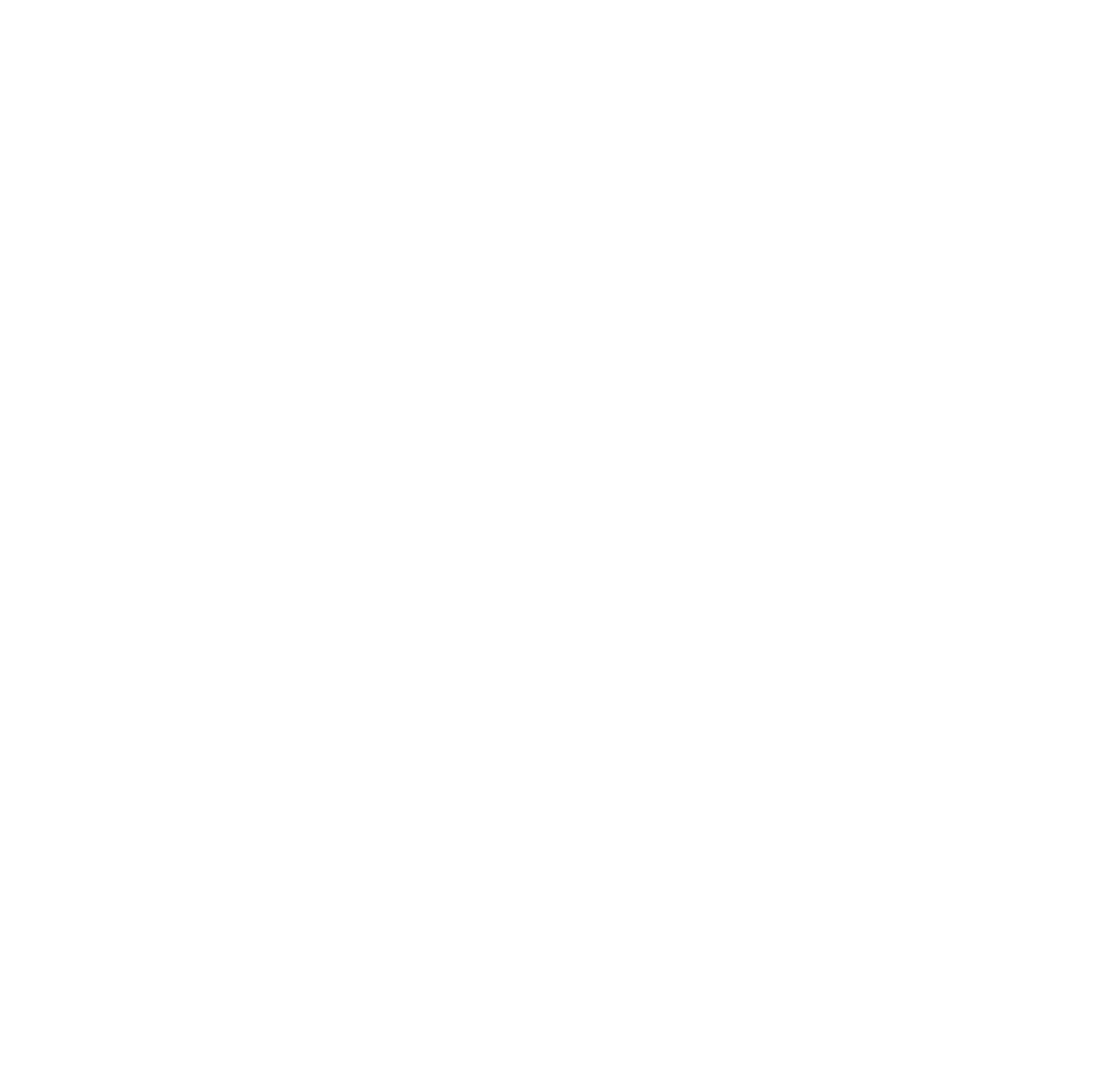 LTI Physio | Dr. Susan Clinton logo