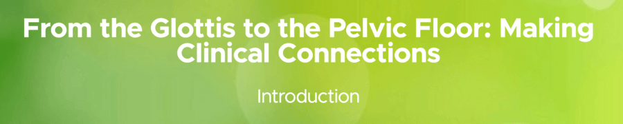 pelvic floor (1)