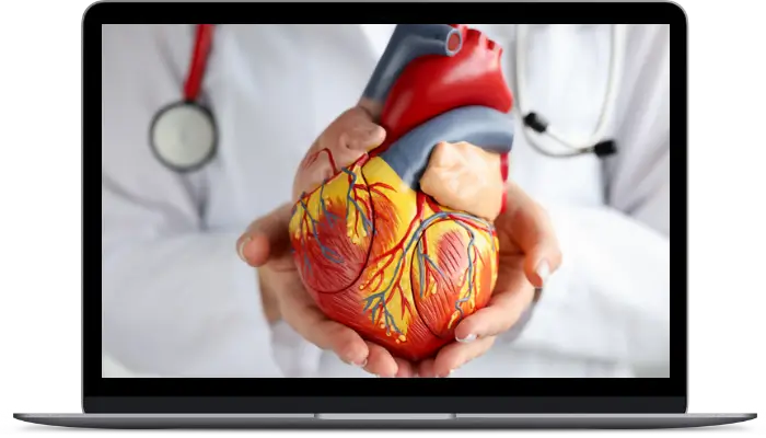 HRV Basics and Why It Matters